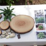 hire the best outdoor backyard designers near me landscape help