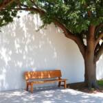 landscape design tips for a stunning outdoor space