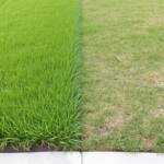 liquid aeration is it right for your lawn