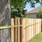 select the right tree for your landscape project