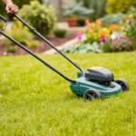 hire the best landscape services landscape solutions near you