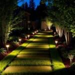 landscape lighting ideas that enhance beauty and safety